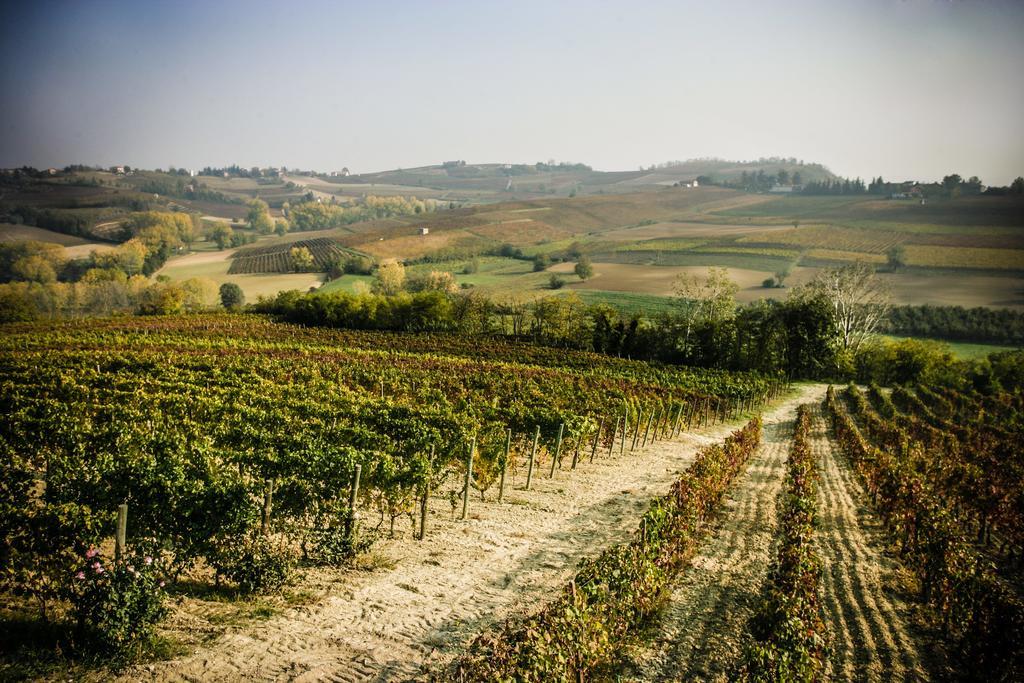 Naturalmente Wine Resort Agliano Terme Extérieur photo